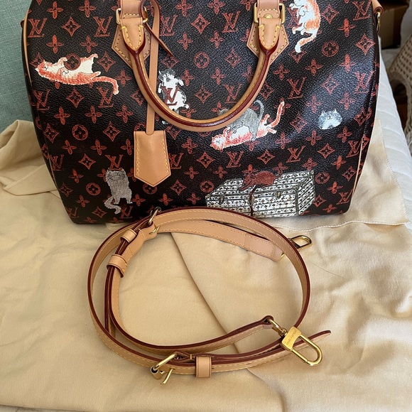 Louis Vuitton x Grace coddington speedy Catogram Bandouliere  30 limited edition - Picture 4 of 4